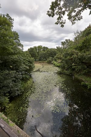 2009-07-23-heath-13.jpg