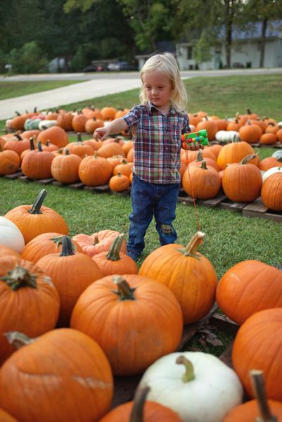 20181006-pumpkin-02.jpg