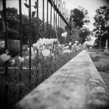 20210502-holga-01.jpg