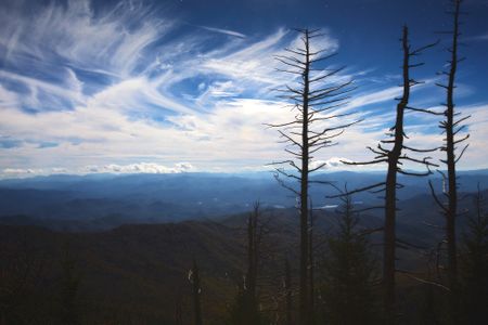 “Mountain Fantasy” — Clingman’s Dome, NC