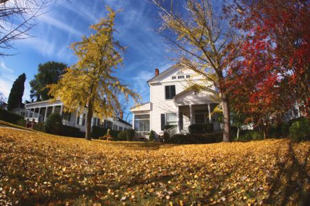 Fall on Hines, Macon, GA