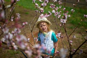 2020-03-25-blossoms-05.jpg