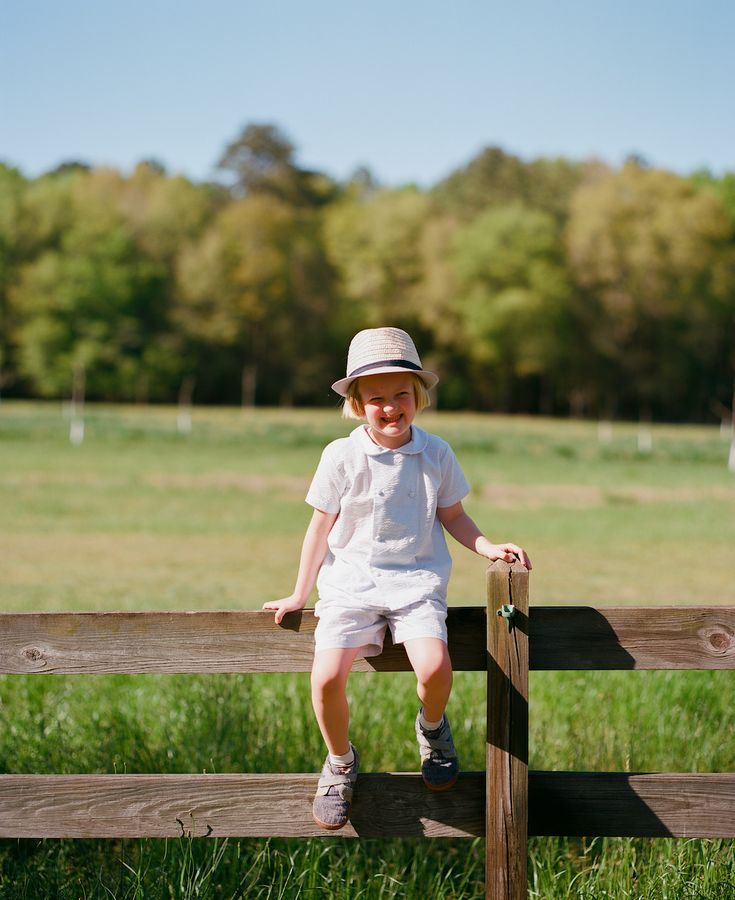 Henry on the fence.