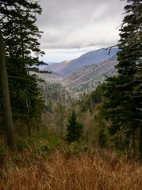 Heading down the mountain.