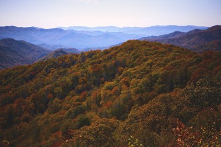 Autumn in the Great Smoky Mountains