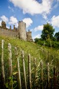 Arundel Castle, Sussex, UK.