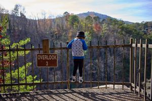 2020-11-24-tallulah-gorge-03.jpg