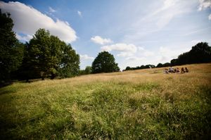 2009-07-04-hampstead-heath-07.jpg