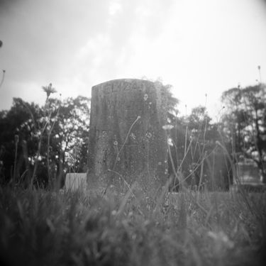 20210502-holga-02.jpg