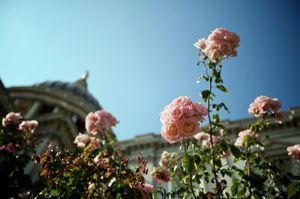 London-09-21.jpg