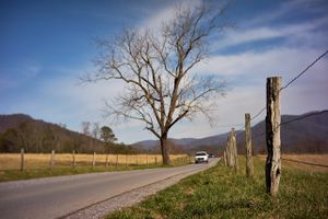 16-03-09-cades-cove-01.jpg