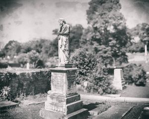 20160423-birdsong-wetplate.jpeg